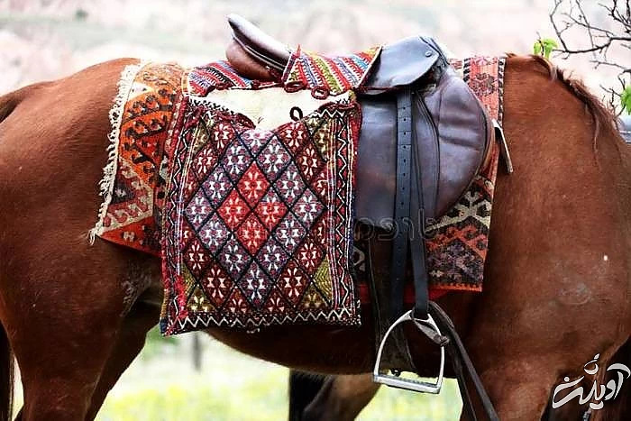 خورجین از سوغات استان کهگیلویه و بویر احمد خورجین